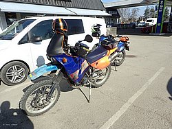 P3290299.JPG