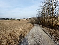 P3290313.JPG
