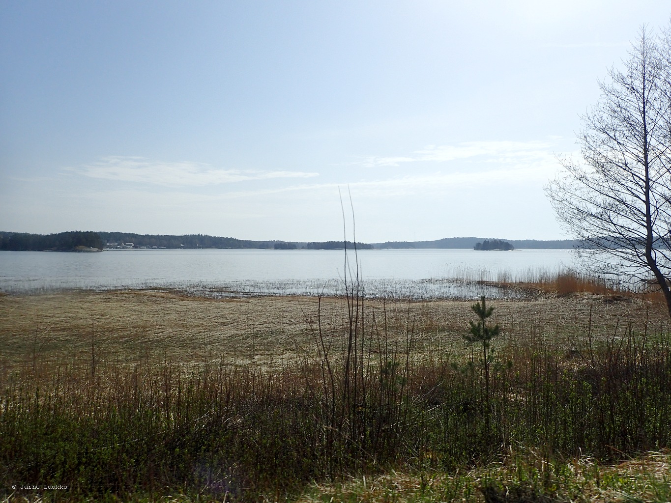 P4190318.JPG