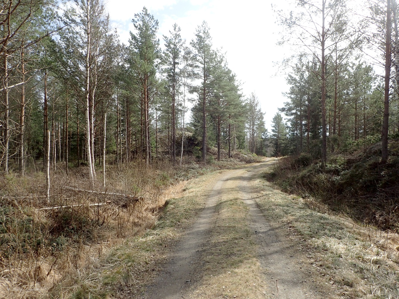P4190322.JPG