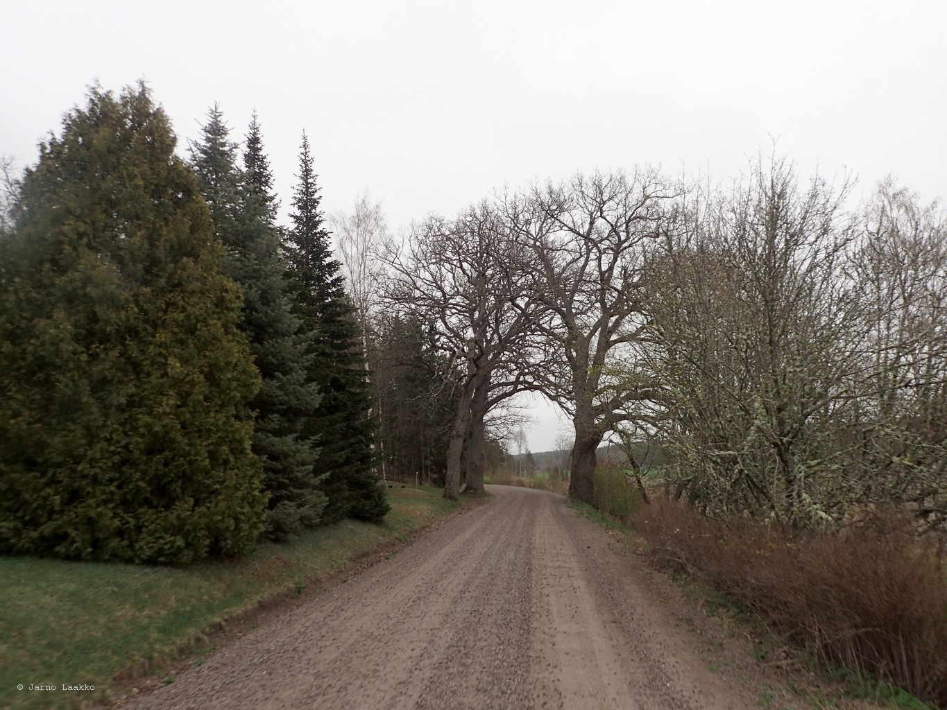 P4190349.JPG