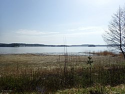 P4190318.JPG