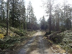 P4190320.JPG