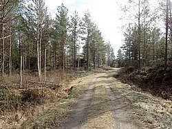 P4190322.JPG