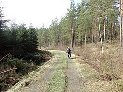 P4190325.JPG
