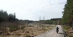P4190326.JPG