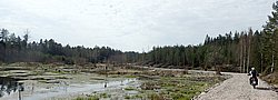 P4190328.JPG