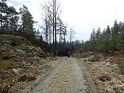P4190331.JPG