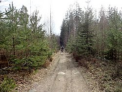 P4190335.JPG