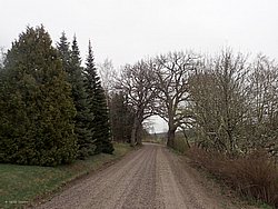 P4190349.JPG