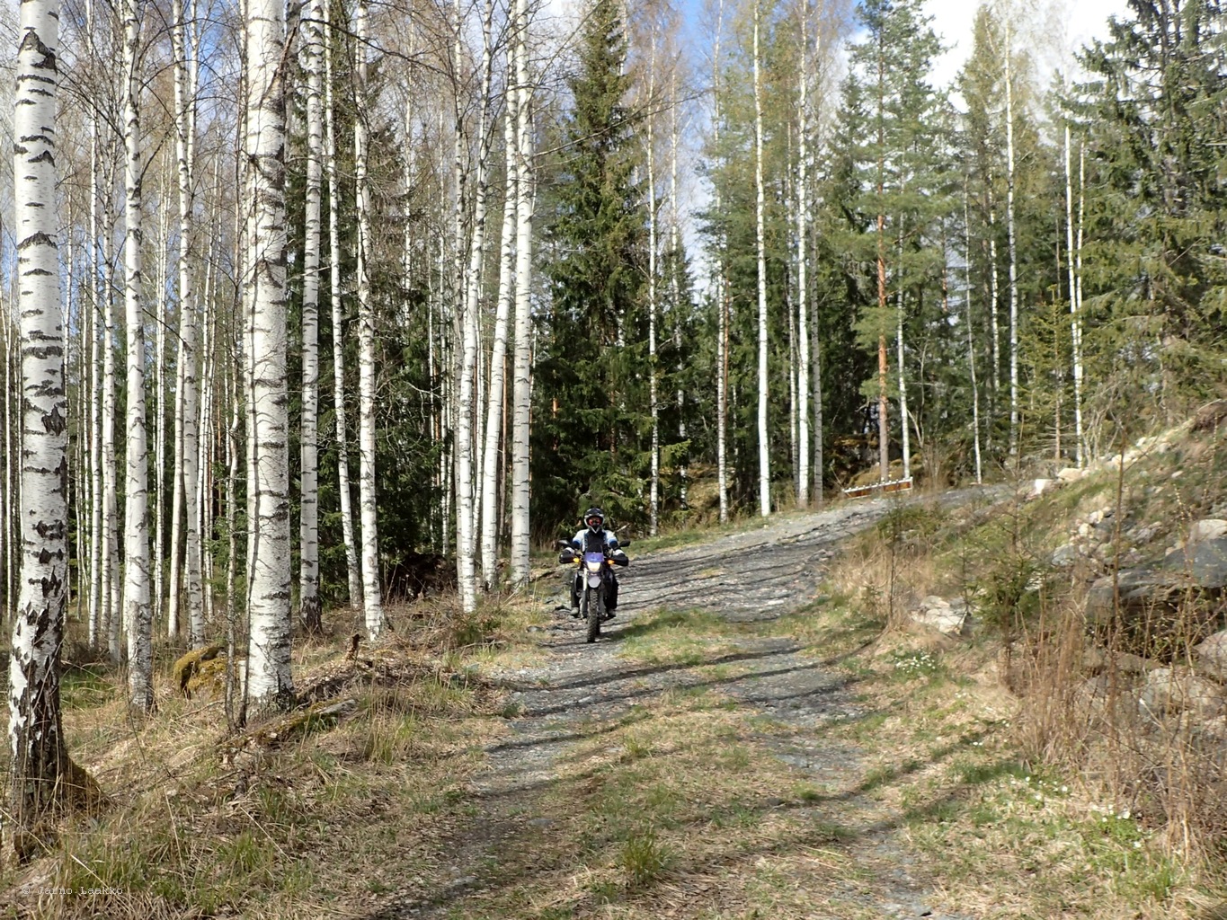 P5010378.JPG