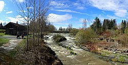 P5010350_.jpg