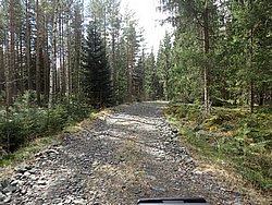 P5010380.JPG