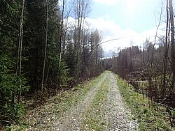 P5010382.JPG