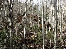 P5010383.JPG
