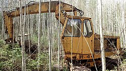P5010385_.jpg