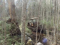 P5010387.JPG