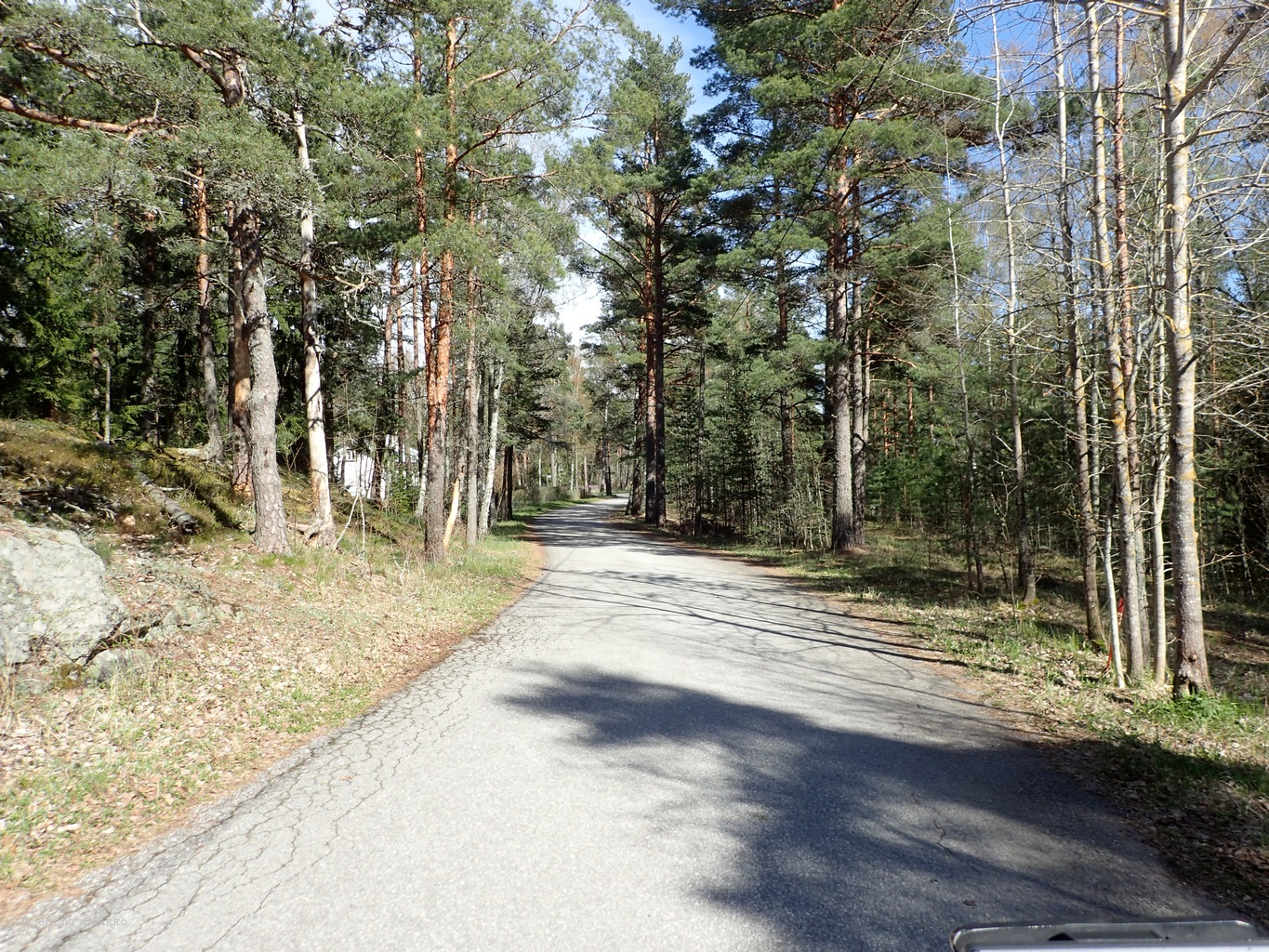 P5030476.JPG