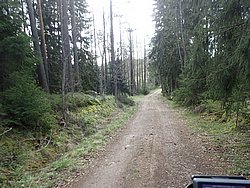 P5030397.JPG