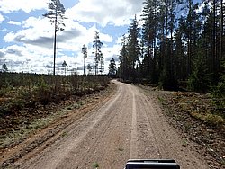 P5030400.JPG