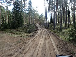P5030401.JPG