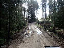 P5030402.JPG