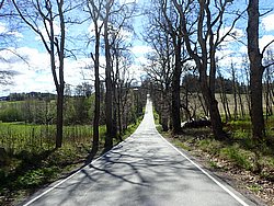 P5030404.JPG