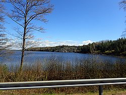 P5030410.JPG
