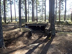 P5030417.JPG