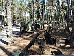 P5030426.JPG