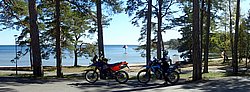 P5030462.jpg