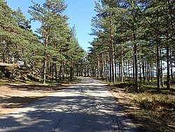 P5030467.JPG