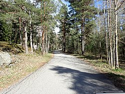 P5030476.JPG
