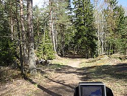 P5030478.JPG