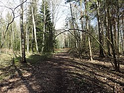 P5030480.JPG