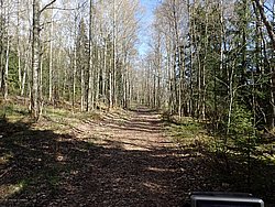 P5030481.JPG