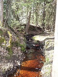 P5030484.JPG