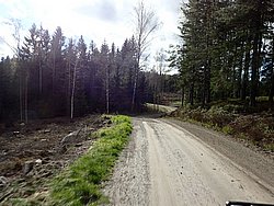 P5030494.JPG