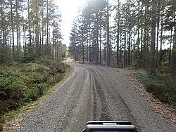 P5030495.JPG