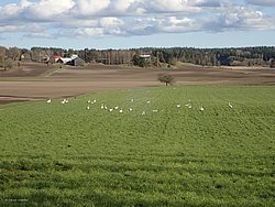 P5030498.JPG