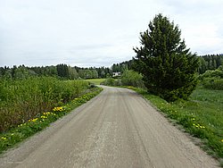P5290504.JPG
