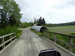 P5290509.JPG