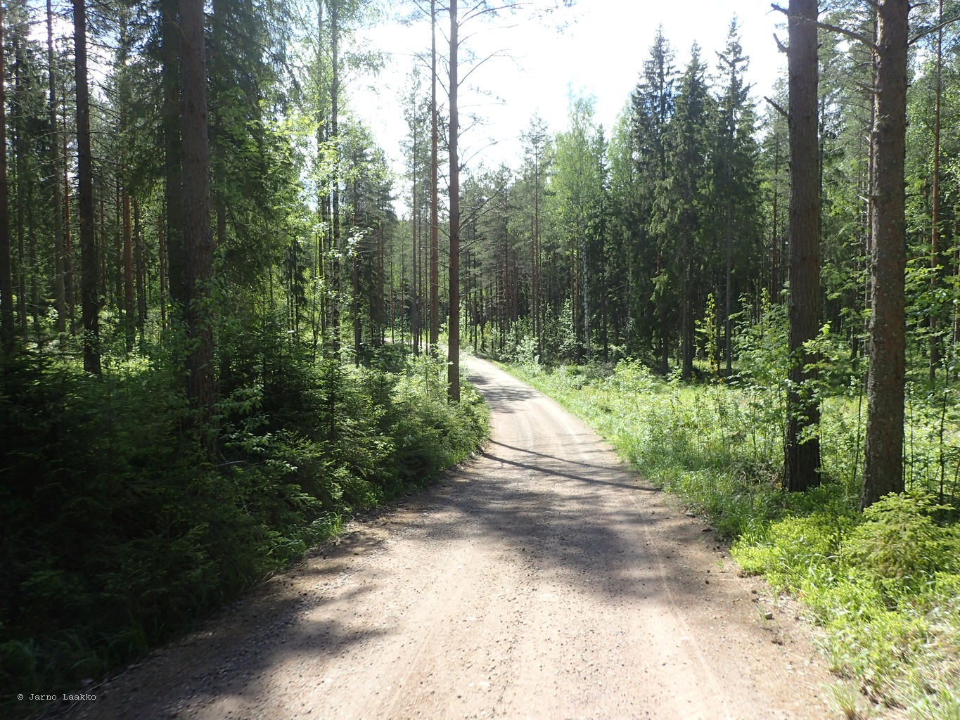 P5300520.JPG