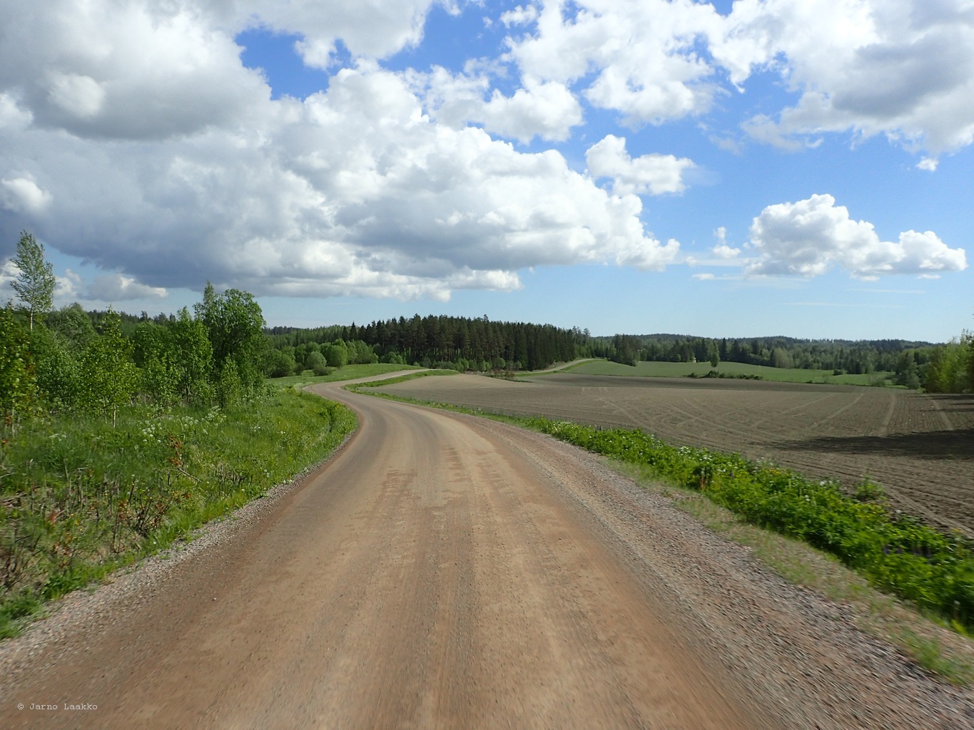 P5300529.JPG