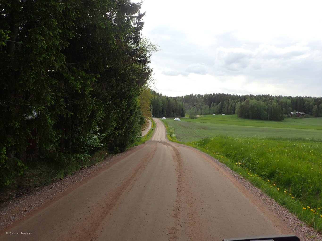 P5300531.JPG
