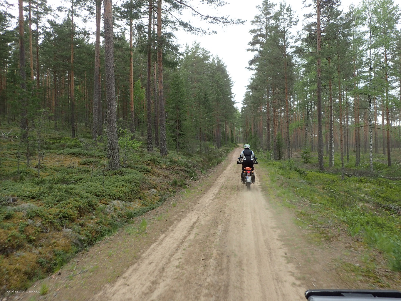 P5300540.JPG
