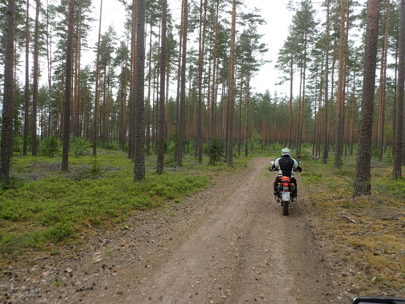 P5300542.JPG