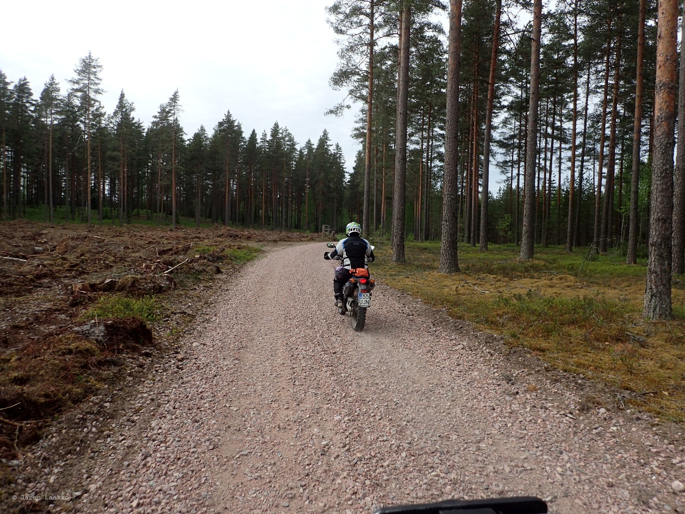 P5300544.JPG