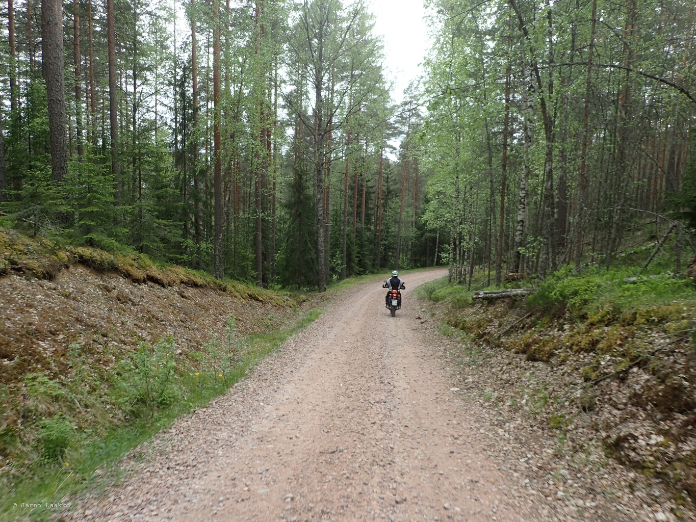 P5300545.JPG