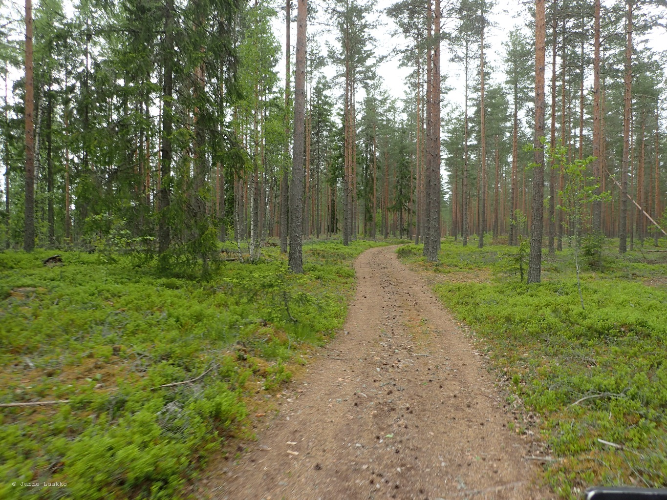P5300571.JPG